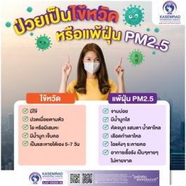 ป่วยเป็นไข้หวัดหรือแพ้ฝุ่น PM2.5