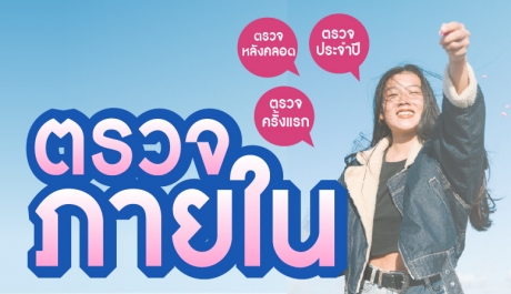 โปรแกรมตรวจภายใน