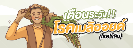 เตือนระวัง!! โรคเมลิออยด์ (โรคไข้ดิน)