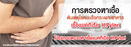 โปรแกรมตรวจหาเชื้อแบคทีเรีย H.Pylori