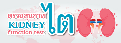ตรวจสุขภาพไต
