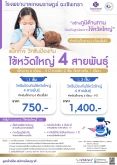 แพ็กเกจวัคซีนป้องกันไข้หวัดใหญ่ 4 สายพันธุ์ สำหรับเด็ก