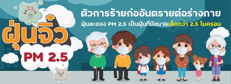 ฝุ่นจิ๋ว PM 2.5 ตัวการร้ายก่ออันตรายต่อร่างกาย