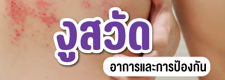 โรคงูสวัด  (Herpes Zoster)