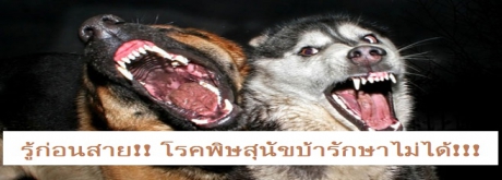 กระแสแรง