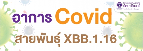 Covid - 19 XBB.1.16