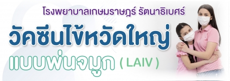 โปรแกรมวัคซีนป้องกันไข้หวัดใหญ่ แบบพ่นจมูก (LAIV)