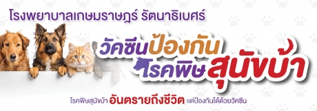 วัคซีนป้องกันโรคพิษสุนัขบ้า