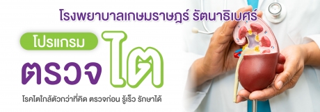 โปรแกรมตรวจไต