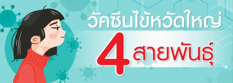 ไข้หวัดใหญ่ 4 สายพันธุ์